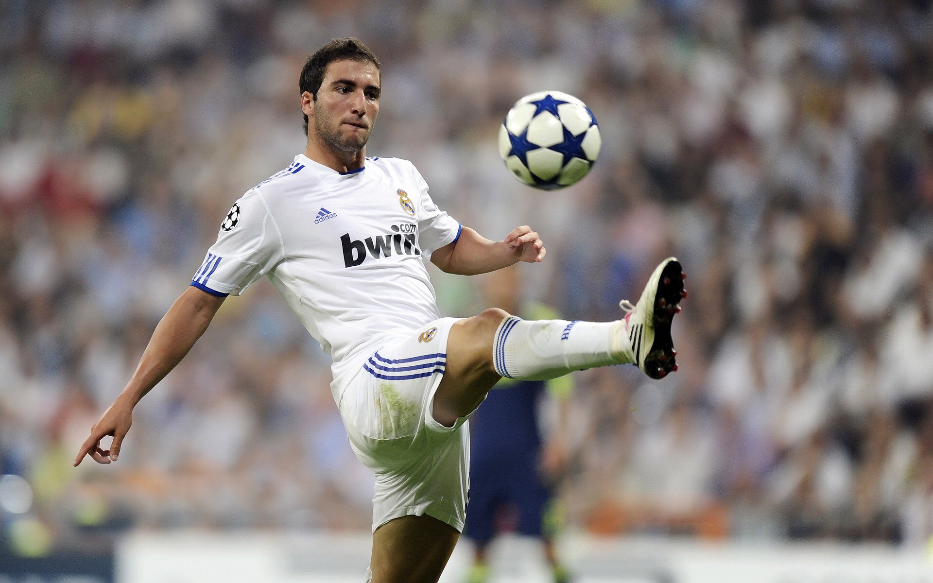 未来“欧洲天王”名单新鲜出炉，谁将问鼎？，nba欧洲天王